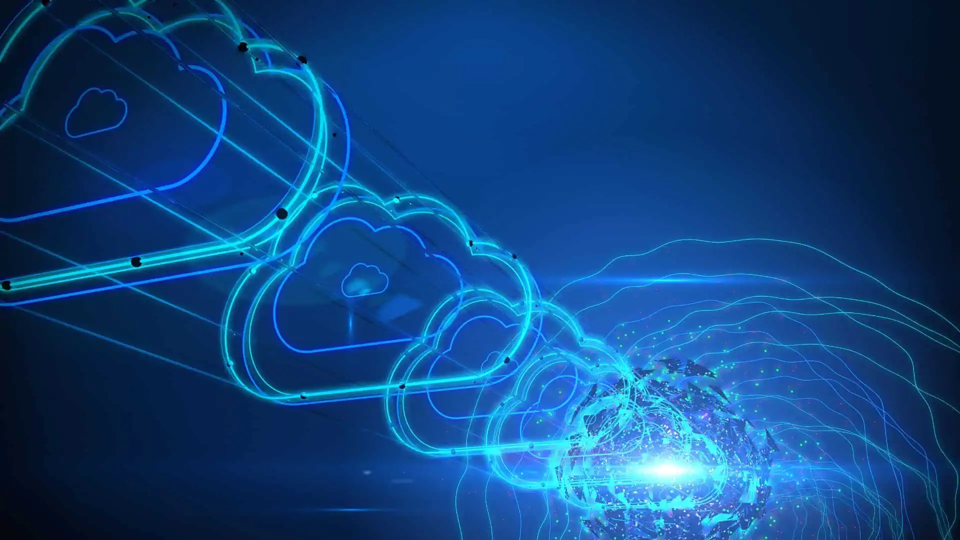 What data can be backed up from Microsoft 365?